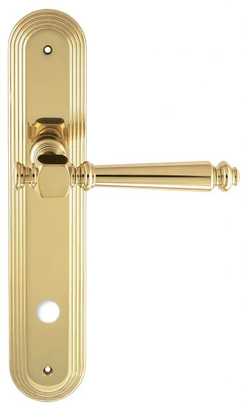 123365 Дверная ручка на планке PL05 EXTREZA VERONIKA 325  WC полированное золото F01 классика многос